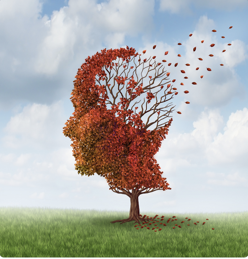 A tree that has red and orange leaves that outline a persons face and head. It shows leaves flying away from the head region depicting the memory loss that happens after a head injury.